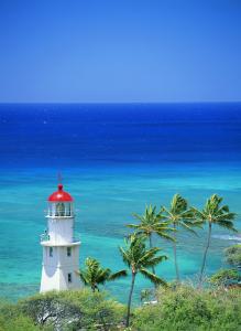 Ó½Ó2021£¬¡°»ù½¨¿ñħ¡±·è¿ñÉÏУ¡×ÔºÀ²»£¿