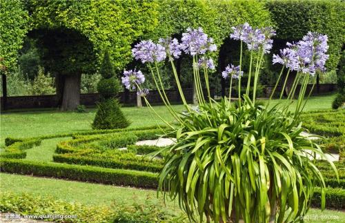 ´ó¹ú²ØÁ¸£¡ÎÒÃÇ¡°ÊÖÀïÓÐÁ¸¡±µÄNÖÖ·½Ê½