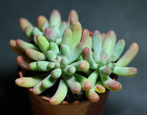 3ÄêÊýÁ¿Í»ÆÆ30Íò¸ö ¹¤ÒµApp¿ªÆô¹¤Òµ»¥ÁªÍøÀ¶º£