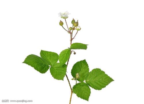 Ôöֵ˰µç×ÓרƱÀ´ÁË Ñùʽ¸ü¼ò½àÁìÓ÷½Ê½¸ü¿ì½Ý