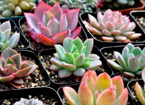 山西大同一企业发生人员疑似中毒事件造成3人死亡