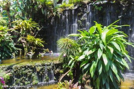 湖北保神高速全线贯通 神农架将跨入