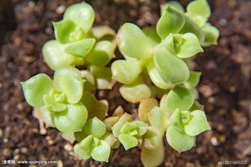 ǰ11Ô¹¤ÒµÆóҵʵÏÖÀûÈó57445ÒÚÔª ͬ±ÈÔö³¤2.4%